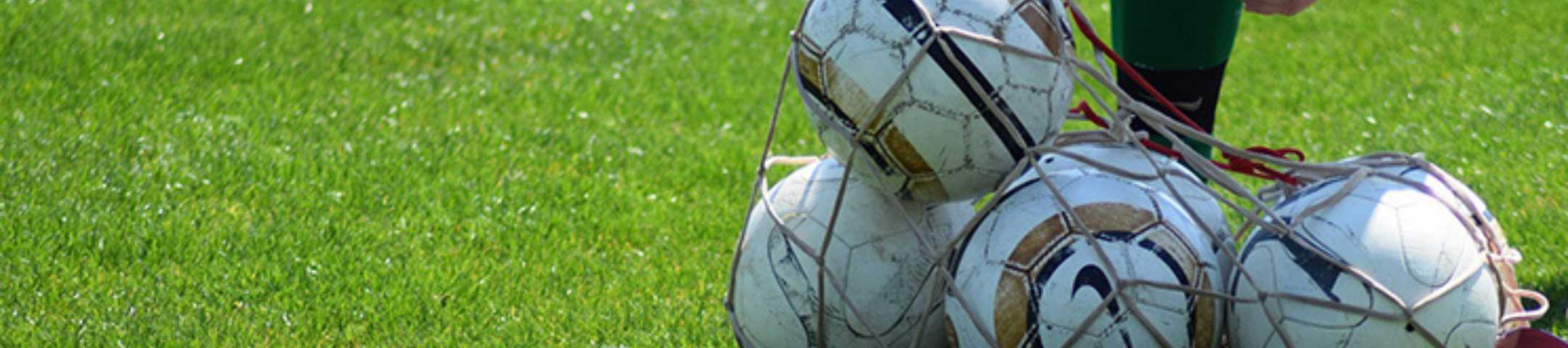 Ballennetten
