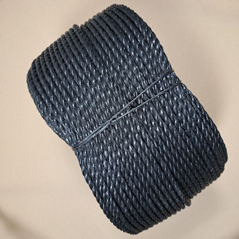 Zwart geslagen touw van 6 mm, stevig en duurzaam