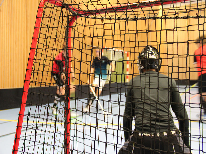 hockeydoel met zwart net