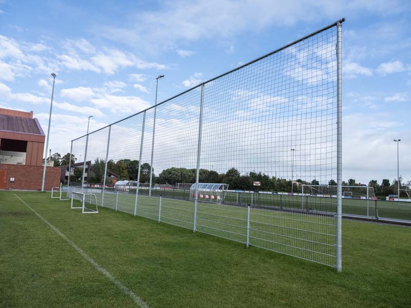 ballenvanger